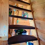 Apartman 