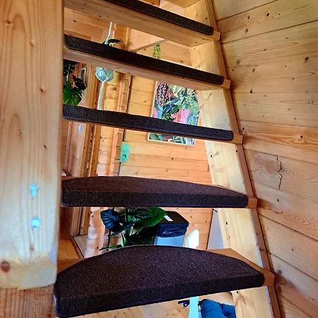 Apartament Wypas Drewniany, Całoroczny - Wynajem