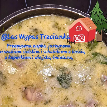 Wypas Drewniany, Całoroczny - Wynajem *
