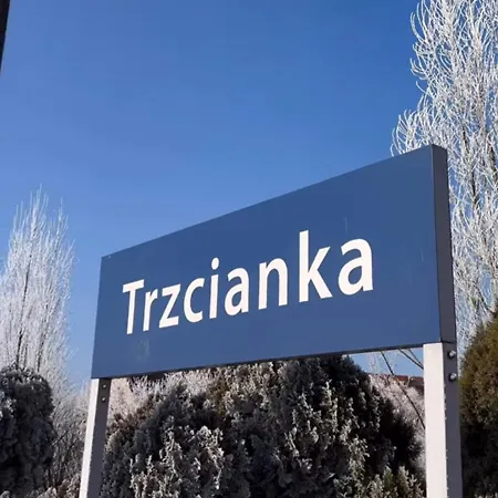 Wypas Drewniany, Całoroczny - Wynajem
