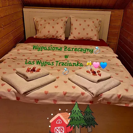Wypas Drewniany, Całoroczny - Wynajem Apartament