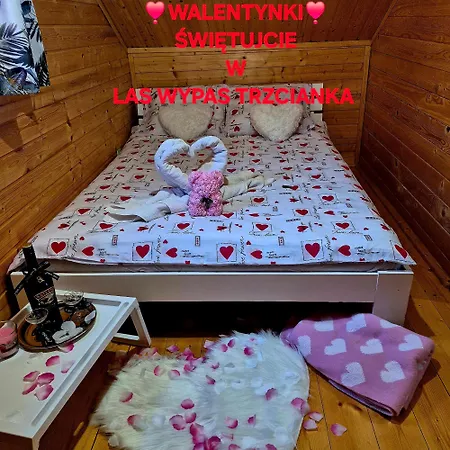 Apartament Wypas Drewniany, Całoroczny - Wynajem *