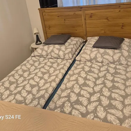 Apartament Wypas Drewniany, Całoroczny - Wynajem